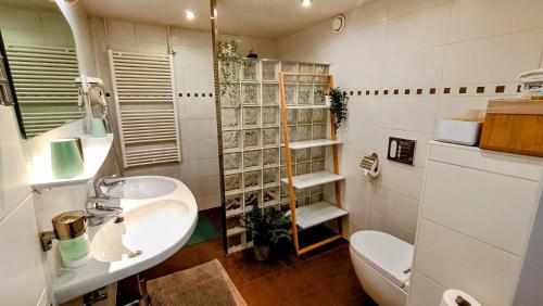 a bathroom with a sink and a toilet at Vakantiewoning Valkenburg in Valkenburg