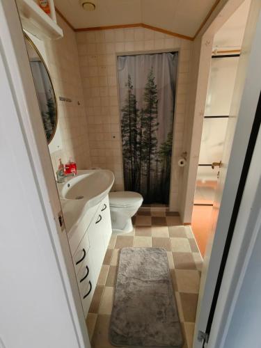 a small bathroom with a toilet and a sink at Familjenest in Bollnäs