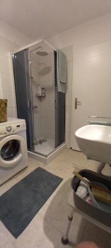a bathroom with a shower and a sink and a washing machine at Szarotka in Brenno