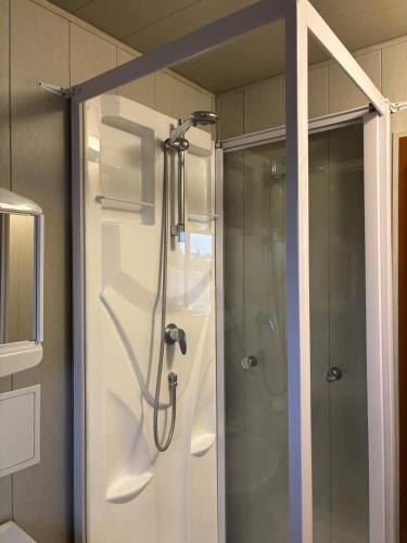 a shower in a bathroom with a glass door at Appartment Sylvia von Skwarczinsky in Tabarz