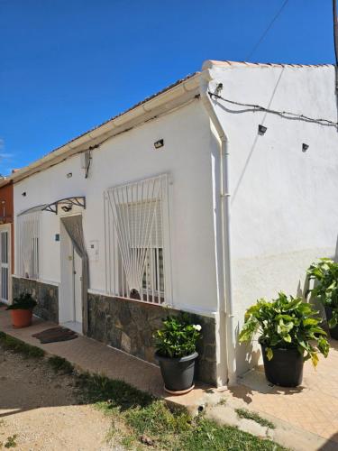 a white building with potted plants in front of it at Casa en La Marina cerca de la Playa y Pinada in Elche