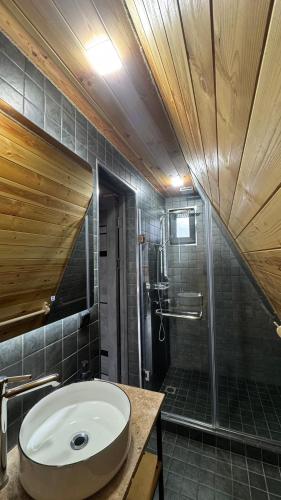 a bathroom with a sink and a shower at Ditaket Dilijan in Dilijan