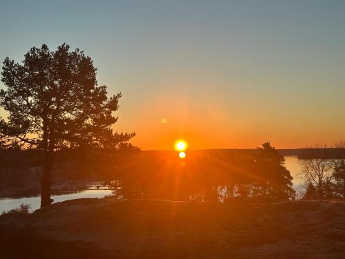 a sunset over a body of water with a tree at Ikigaiisättra 44 in Åkersberga