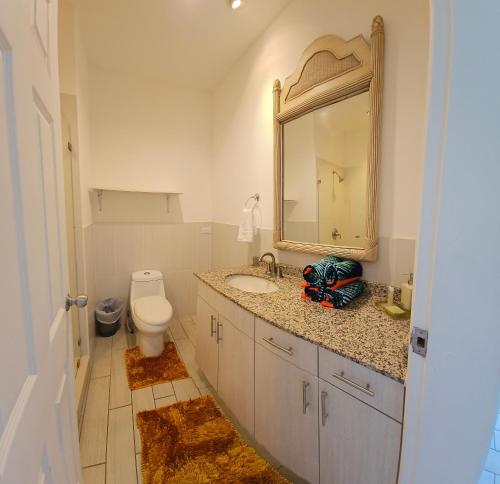 a bathroom with a sink and a toilet and a mirror at Apartamento Arrecife in Tela