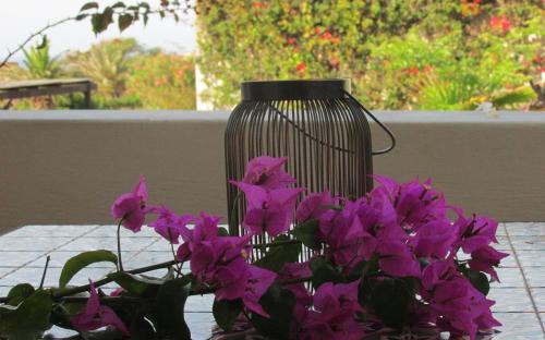 a vase filled with purple flowers on a table at Le Lanterne Resort in Pantelleria