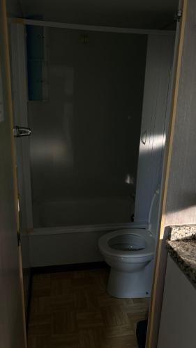 a bathroom with a white toilet and a shower at Casinha das bonecas in Adenodeiro