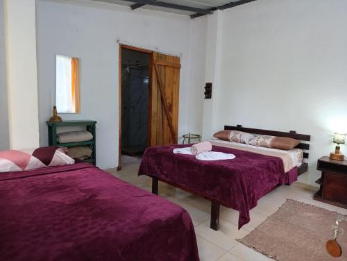 zwei Betten in einem Zimmer mit lila Bettwäsche in der Unterkunft Mindomundo Home in Mindo
