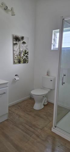 a bathroom with a toilet and a painting on the wall at Ocean Beach Town View - Pool With Amazing Views! in Rarotonga