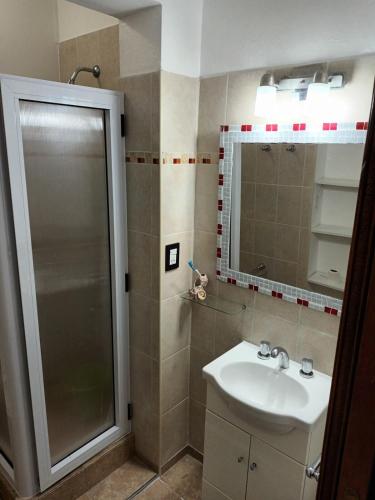 a bathroom with a shower and a sink at Departamento CRIMAR in Viedma