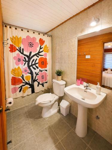 a bathroom with a toilet and a sink at Hotel El Coihue in Pucón