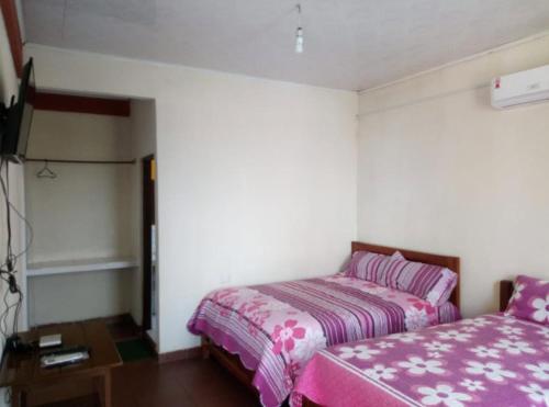 a bedroom with a bed and a tv in it at Hotel Puerto Selva in Villa Tunari