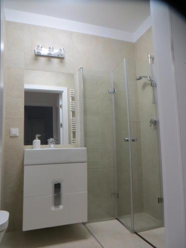 ポズナンにあるPoznan Black Red apartmentのバスルーム(シャワー、洗面台、トイレ付)