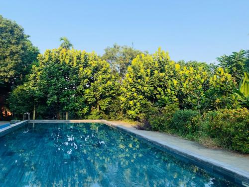 a swimming pool in front of some trees at Nhà sàn Mường in Ba Vì