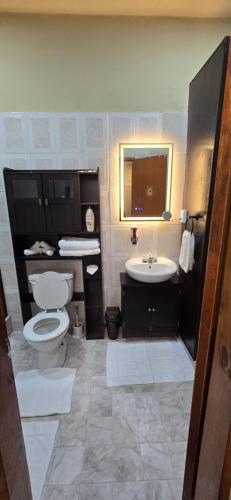 a bathroom with a toilet and a sink and a mirror at Cozy Hub -B in Philipsburg