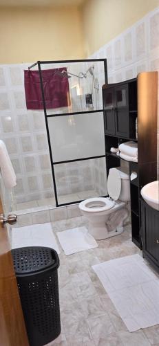 a bathroom with a shower and a toilet and a sink at Cozy Hub -B in Philipsburg