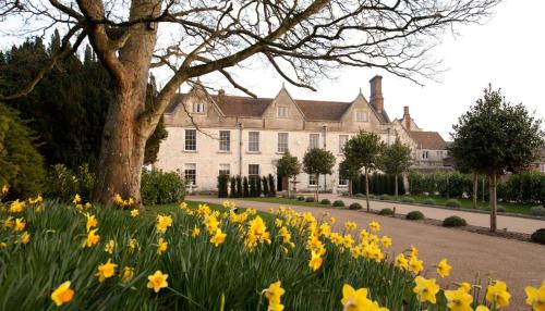 The building where the apartment is located 