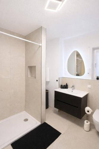 a bathroom with a shower and a sink and a toilet at Ferienwohnung Südwind 3 in Küssaberg