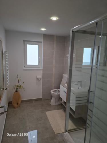 a bathroom with a shower and a sink and a toilet at Pensiunea Evelyn in Gîrleni