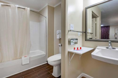 a bathroom with a toilet and a sink and a mirror at Econo Lodge Woodstock - Shenandoah Valley I-81 in Woodstock