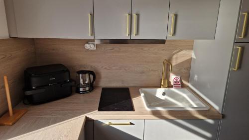 a small kitchen with a sink and a coffee maker at Apartmani Kod Barbe in Vir