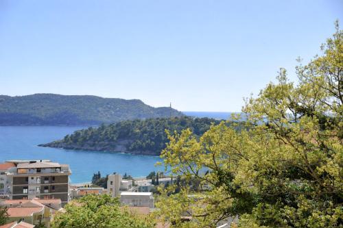 a view of a large body of water with trees at SeaWolf Apartment in Bečići