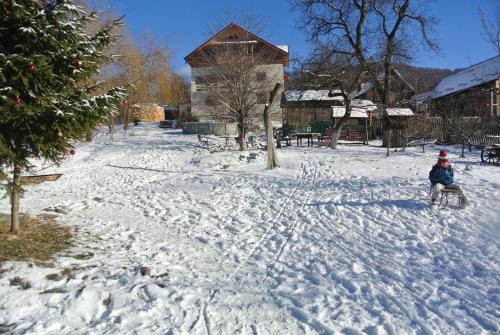 Surasul Muntelui v zimě