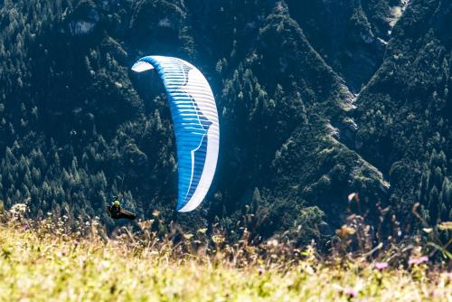 a kite is flying over a grassy field at Hotel Alpenblick in Bach