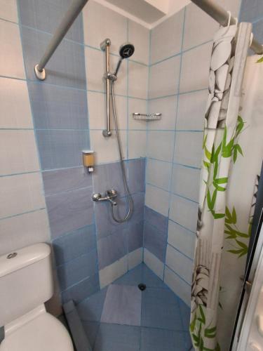 a bathroom with a shower with a toilet at Студио C19 в к-с Blue Bay Palace in Pomorie