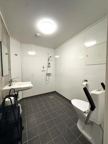 a bathroom with a toilet and a sink and a shower at Torghatten Lodge in Torget