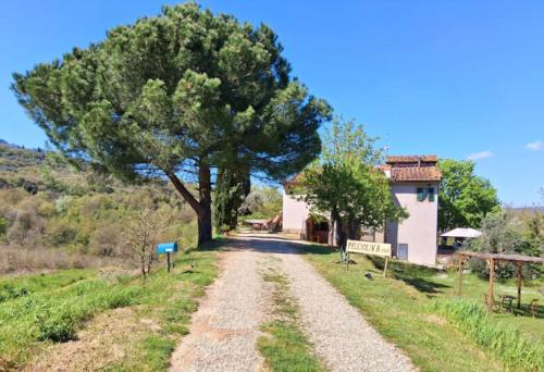 a dirt road with a tree and a building at Felciolina - Medieval Country House in Troghi