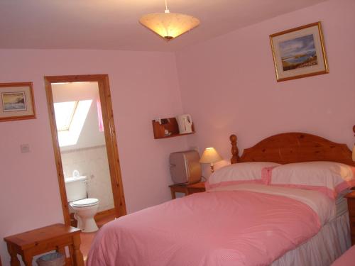 a bedroom with a bed and a toilet and a window at Rosmo House B&B in Westport