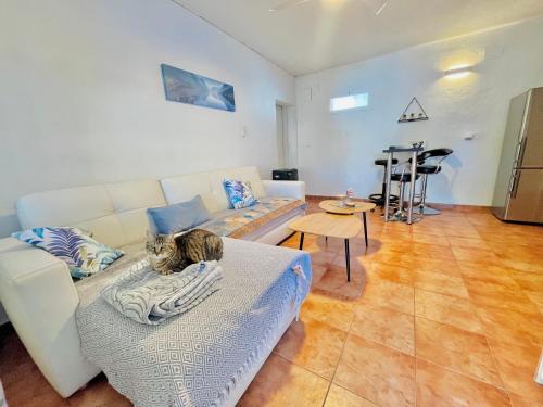 Alicante Garden & BBQ - Estudio con Jardín, Parking Privado y Relax Total