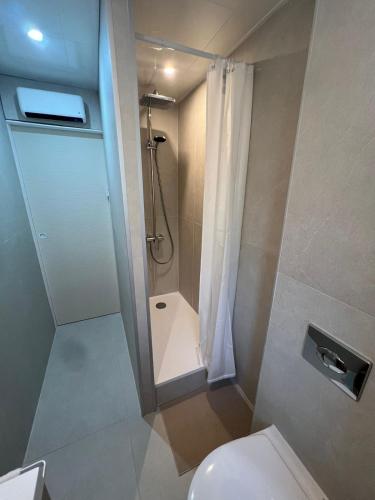 a small bathroom with a toilet and a shower at Cocon nature - Appartement 1 chambre - 4 personnes in Berstett