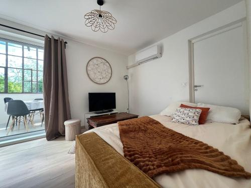 a bedroom with a large bed and a television at Cocon nature - Appartement 1 chambre - 4 personnes in Berstett