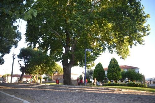 a tree on the side of a road at Elaia Hotel in Bergama