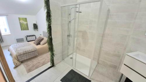 a bathroom with a shower and a bed at La Traboule - Terrasse - 6 pers in Saint-Germain-Lembron