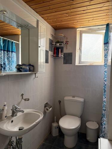 a bathroom with a sink and a toilet and a window at Pelekanos Apartment in Paralia Saranti