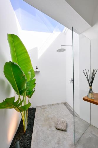 a bathroom with a glass shower and a plant at Casa Alisios Sea View Villa private Infinity Pool Sunsets in La Pared