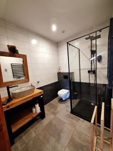 een badkamer met een douche, een wastafel en een toilet. bij MX Pokoje in Lipno