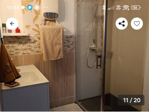 a bathroom with a shower and a sink at Le gîte de la Roche in Putanges