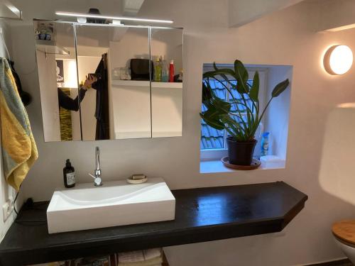 a bathroom with a sink and a mirror and a plant at Charmantes und geräumiges Loft im DG eines Fachwerkhauses in Dortmund