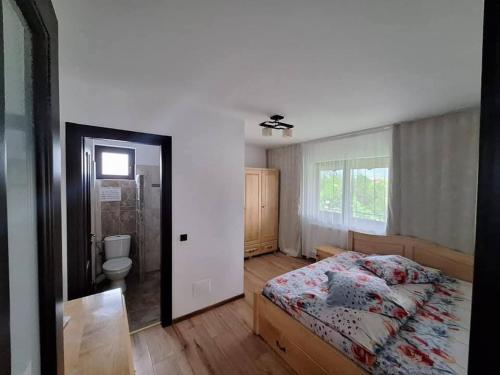 a bedroom with a bed and a toilet in it at Vila Cristal in Târgu Ocna