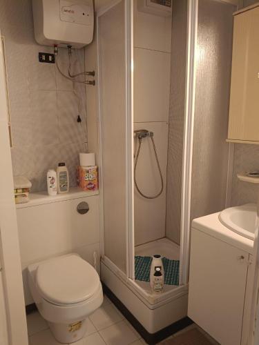 a small bathroom with a toilet and a shower at La conchiglia in Motta San Giovanni
