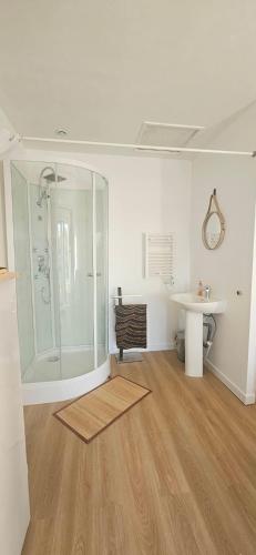 a bathroom with a shower and a sink and a mirror at Studio Indépendant au calme in Cugand