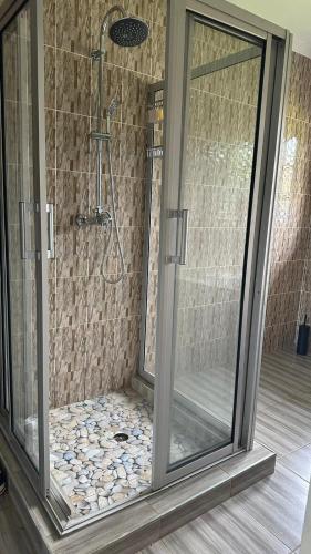 a shower with two glass doors in a bathroom at The Savannah Escape in Norton