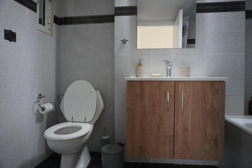 a bathroom with a toilet and a sink at El Condor Casa in Rhodes Town