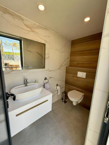 a bathroom with a sink and a toilet at Residence Stina in Široki Brijeg