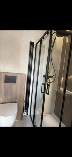 a bathroom with a shower and a toilet in it at Domek BrzozoweLove in Szczodrowo