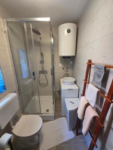 a bathroom with a shower and a toilet and a sink at Apartment Borna in Baška