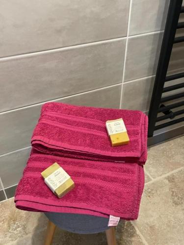 two pieces of soap sitting on a pink towel at L isaro in Anthé
